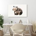 QUADRO SU TELA – ORSO CARINO NEL BOSCO - QUADRI PER BAMBINI ANIMALI - STAMPE E QUADRI