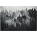CARTA DA PARATI AUTOADESIVA – FORESTA NELLA NEBBIA IN BIANCO E NERO - CARTA DA PARATI AUTOADESIVE - CARTA DA PARATI