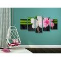 5-PIECE CANVAS PRINT WELLNESS STILL LIFE - PICTURES FENG SHUI - PICTURES