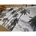 5-PIECE CANVAS PRINT COCONUT TREES ON A BEACH IN BLACK AND WHITE - BLACK AND WHITE PICTURES - PICTURES