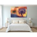 CANVAS PRINT BRIGHT DANDELION - PICTURES FLOWERS - PICTURES