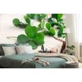WALL MURAL GREEN FOUR-LEAF CLOVERS - WALLPAPERS NATURE - WALLPAPERS