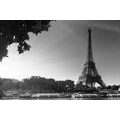 CANVAS PRINT AUTUMN PARIS IN BLACK AND WHITE - BLACK AND WHITE PICTURES - PICTURES