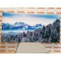 CANVAS PRINT FROZEN MOUNTAINS - PICTURES OF NATURE AND LANDSCAPE - PICTURES