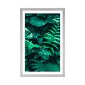 AFFICHE AVEC MONTURE DE FEUILLES TROPICALES FRAÎCHES - NATURE - AFFICHES