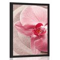 AFFICHE SABLE DE MER ET UNE ORCHIDÉE ROSE - FENG SHUI - AFFICHES