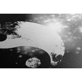 CANVAS PRINT YIN AND YANG SYMBOL IN BLACK AND WHITE - BLACK AND WHITE PICTURES - PICTURES