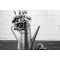 CANVAS PRINT BOUQUET OF FLOWERS IN A WATERING-CAN IN BLACK AND WHITE - BLACK AND WHITE PICTURES{% if product.category.pathNames[0] != product.category.name %} - PICTURES{% endif %}