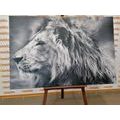 CANVAS PRINT AFRICAN LION IN BLACK AND WHITE - BLACK AND WHITE PICTURES - PICTURES