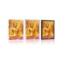 POSTER GOLDENER BUDDHA - FENG SHUI - POSTER