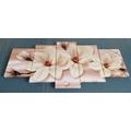 5-PIECE CANVAS PRINT LUXURIOUS MAGNOLIA WITH PEARLS - PICTURES FLOWERS - PICTURES