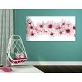 CANVAS PRINT CHERRY BLOSSOMS - PICTURES FLOWERS - PICTURES