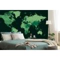SELF ADHESIVE WALLPAPER DETAILED MAP OF THE WORLD IN GREEN - SELF-ADHESIVE WALLPAPERS - WALLPAPERS
