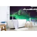 SELF ADHESIVE WALL MURAL NORTHERN LIGHTS IN THE SKY - SELF-ADHESIVE WALLPAPERS - WALLPAPERS