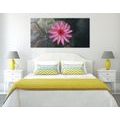 CANVAS PRINT CHARMING LOTUS FLOWER - PICTURES FLOWERS{% if product.category.pathNames[0] != product.category.name %} - PICTURES{% endif %}