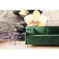 WALL MURAL ORCHID AND ZEN STONES - WALLPAPERS FENG SHUI - WALLPAPERS