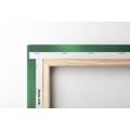 CANVAS PRINT UNUSUAL GREEN GLOW - 🔥 TOTAL SALE 🔥
