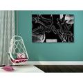 CANVAS PRINT ETHNIC FLOWERS IN BLACK AND WHITE - BLACK AND WHITE PICTURES - PICTURES