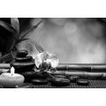 OBRAZ FENG SHUI HARMONIE V ČERNOBÍLÉM PROVEDENÍ - ČERNOBÍLÉ OBRAZY - OBRAZY