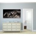 CANVAS PRINT THREE GALLOPING HORSES - PICTURES OF ANIMALS{% if product.category.pathNames[0] != product.category.name %} - PICTURES{% endif %}