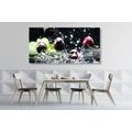 CANVAS PRINT RIPE CHERRIES IN WATER - PICTURES OF FOOD AND DRINKS{% if product.category.pathNames[0] != product.category.name %} - PICTURES{% endif %}