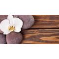 WANDBILD WELLNESS-STEINE UND ORCHIDEE AUF HÖLZERNEM HINTERGRUND - BILDER MIT FENG SHUI-MOTIVEN - BILDER