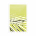 POSTER PALM LEAF - NATURE - POSTERS