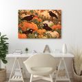 WANDBILD RABEN ZWISCHEN HERBSTLICHEN KÜRBISSEN - HALLOWEEN- UND HORROR-BILDER - BILDER