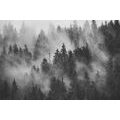 CANVAS PRINT MOUNTAINS IN THE FOG IN BLACK AND WHITE - BLACK AND WHITE PICTURES - PICTURES