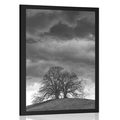 POSTER BLACK AND WHITE LONELY TREES - BLACK AND WHITE - POSTERS