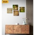 CANVAS PRINT SET BREEZE OF NATURE WITH AN INSCRIPTION - SET OF PICTURES - PICTURES