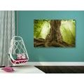 CANVAS PRINT TREE ROOT - PICTURES OF NATURE AND LANDSCAPE{% if product.category.pathNames[0] != product.category.name %} - PICTURES{% endif %}