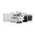 5-PIECE CANVAS PRINT FLOWER AND STONES IN SAND IN BLACK AND WHITE - BLACK AND WHITE PICTURES - PICTURES