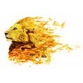 WALLPAPER FIERY LION - WALLPAPERS ANIMALS - WALLPAPERS