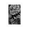 POSTER WITH MOUNT BEAUTIFUL FLOWERS IN BLACK AND WHITE - BLACK AND WHITE - POSTERS