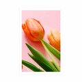 AFFICHE TULIPE - FLEURS - AFFICHES