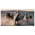 OBRAZ STÁDO KONÍ V BĚHU - PICTURES HORSES - PICTURES