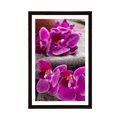 POSTER MIT PASSEPARTOUT WUNDERSCHÖNE ORCHIDEE UND ZEN-STEINE - FENG SHUI - POSTER