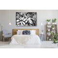 CANVAS PRINT BLOOMING WATERCOLOR TREE IN BLACK AND WHITE - BLACK AND WHITE PICTURES - PICTURES