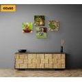 CANVAS PRINT SET FENG SHUI IN GREEN DESIGN - SET OF PICTURES - PICTURES