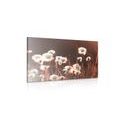 CANVAS PRINT COTTON GRASS - PICTURES OF NATURE AND LANDSCAPE - PICTURES