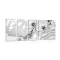 5-PIECE CANVAS PRINT BLACK AND WHITE ORCHID ON AN ABSTRACT BACKGROUND - BLACK AND WHITE PICTURES - PICTURES