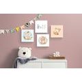 CANVAS PRINT SET CUTE ANIMALS - SET OF PICTURES - PICTURES