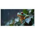 WANDBILD BUNTER FROSCH IM TROPENREGEN - BILDER TIERE - BILDER