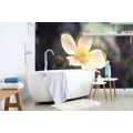 SELF ADHESIVE WALL MURAL DELICACY OF A FLOWER - SELF-ADHESIVE WALLPAPERS - WALLPAPERS