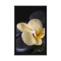 POSTER ZEN STONES WITH A YELLOW ORCHID - FENG SHUI - POSTERS