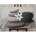 CANVAS PRINT FLOWER AND STONES IN THE SAND IN BLACK AND WHITE - BLACK AND WHITE PICTURES - PICTURES