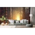 SELF ADHESIVE WALL MURAL LIGHT IN THE FOREST - SELF-ADHESIVE WALLPAPERS - WALLPAPERS