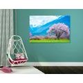 CANVAS PRINT MAGICAL TREE IN THE MIDDLE OF THE MOUNTAINS - PICTURES OF NATURE AND LANDSCAPE - PICTURES