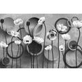 SELF ADHESIVE WALLPAPER BLACK AND WHITE POPPIES ON AN ABSTRACT BACKGROUND - SELF-ADHESIVE WALLPAPERS - WALLPAPERS